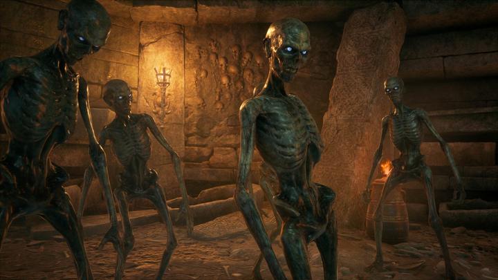 Immagine prodotto WB Hogwarts Legacy (PS4, Multilingue)