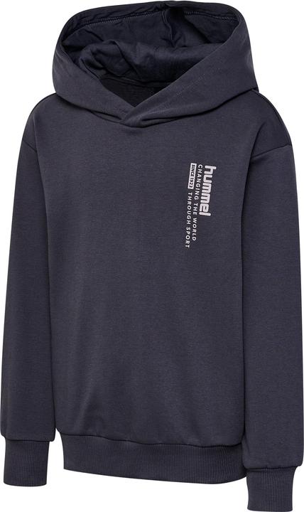hummel hmlDANTE HOODIE