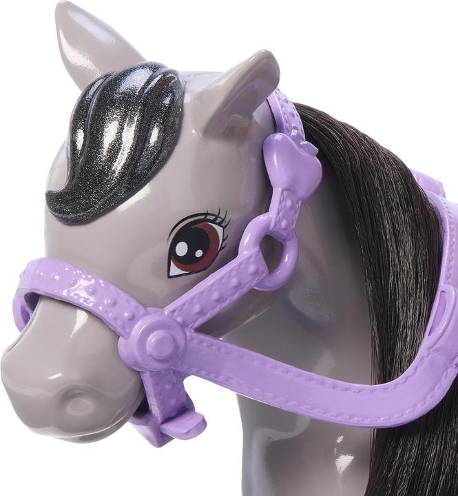 Actual product image Barbie Family & Friends Chelsea und Pony