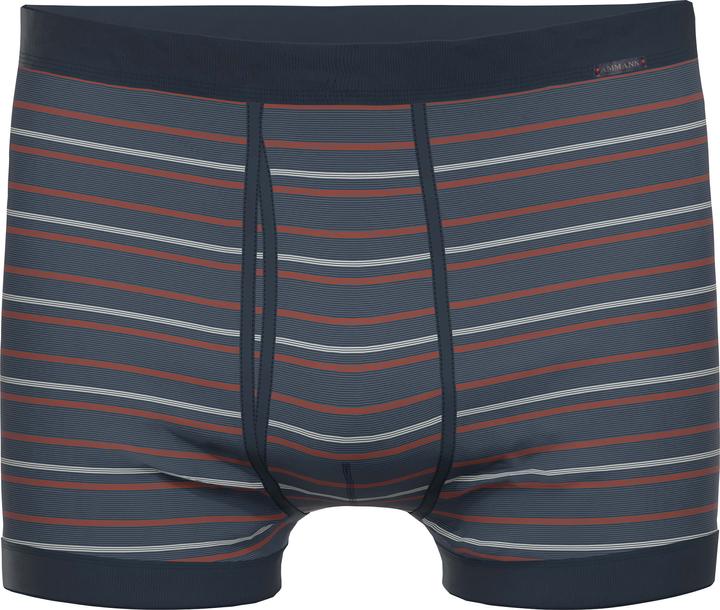 Image du produit Ammann Bio Herren-Schlüpfer (5)