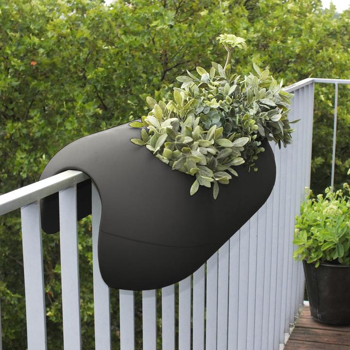 Immagine prodotto Rephorm Innovativo vaso da balcone Balconismo 80 cm (32 cm)