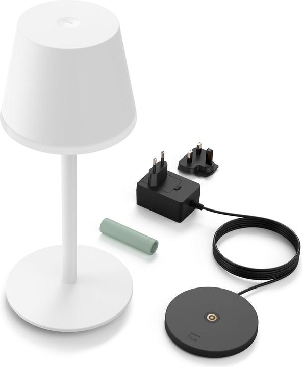 Actual product image Philips Hue Go (370 lm)