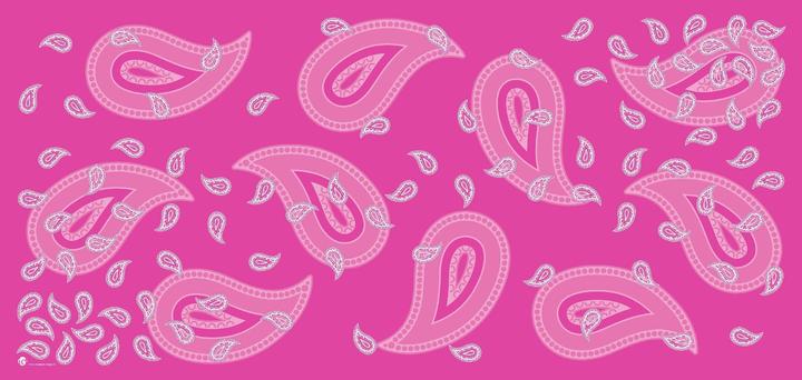 Image du produit Industyle Design Glarnerdesign Serviette de sport microfibre / serviette de plage / serviette de bain Paisley rose (160 x 75 cm)