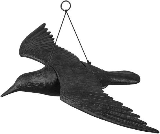 Bradas Vogelabwehr