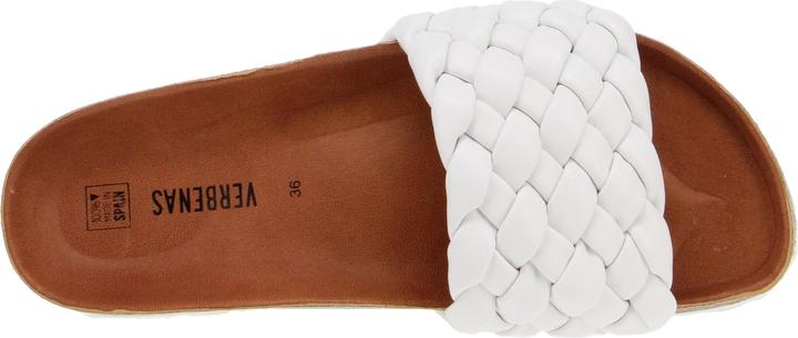 Image du produit Verbenas Rica (38)