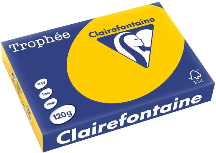 Immagine prodotto Clairefontaine Trophée (120 g/m², 250 x, A4)