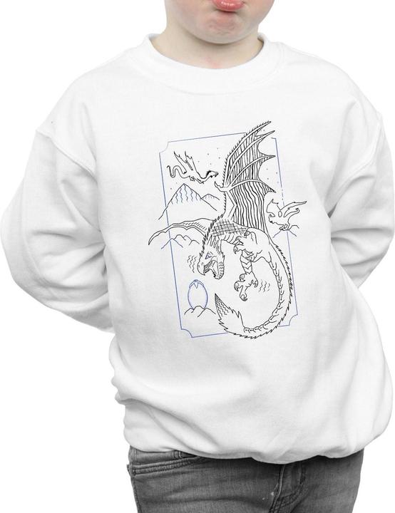 Actual product image Boys Dragon Line Art Sweatshirt (140, 146)