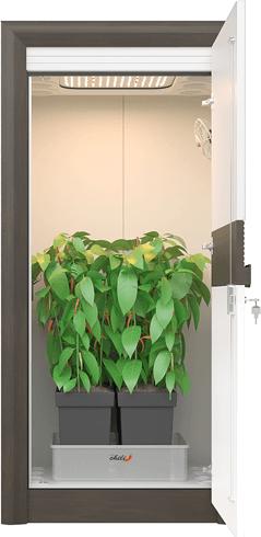Image du produit Urban Chili Kit complet de culture LED 3.0