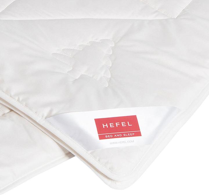 Image du produit Hefel Couverture en pin suisse légère Wellness, garniture : 100% laine vierge avec des copeaux de pin (1000 g, 140x200 cm)