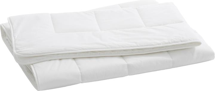 Produktbild Billerbeck Bamboo Uno (1280 g, 160 x 210 cm)