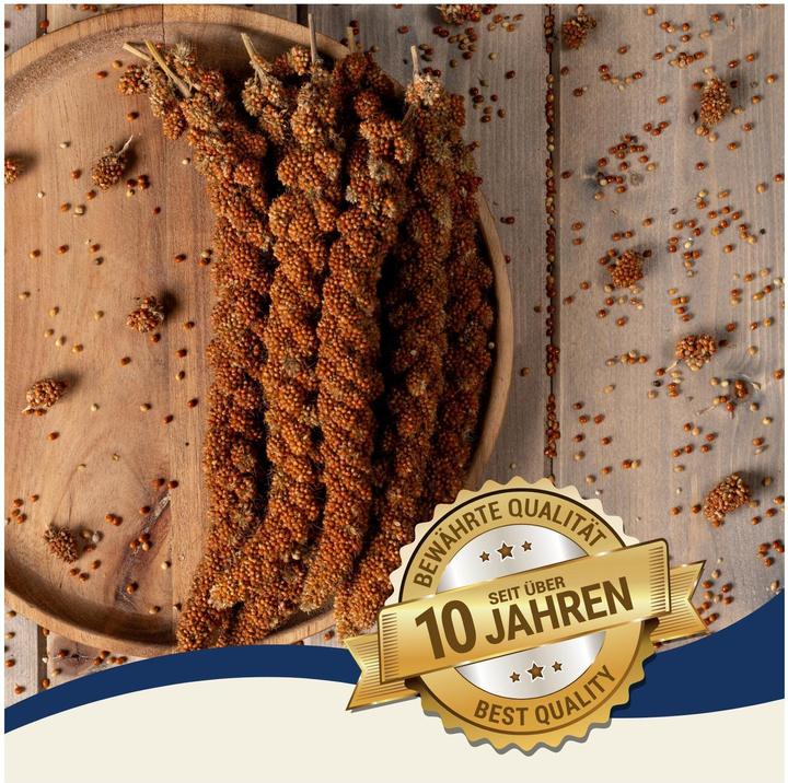 Image du produit Lyra Pet Millet en épi (1 x, 1 kg)
