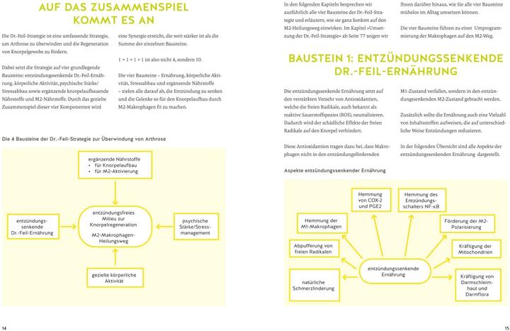 Produktbild Arthrose endlich heilen (Deutsch, Wolfgang Feil, Tobias Homburg, 2024)