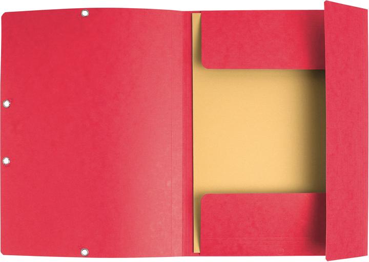 Actual product image Exacompta Rubber band folder (A4, 1 x)