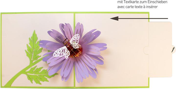 Actual product image Hervorragend Greeting Card Bee on Flower - 3D Pop-up (1 pcs.)