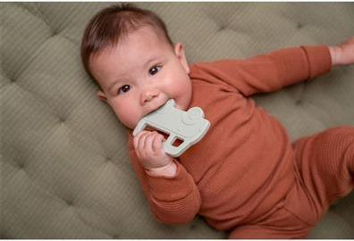 Image du produit Little Dutch Silicone Anneau de dentition Bus
