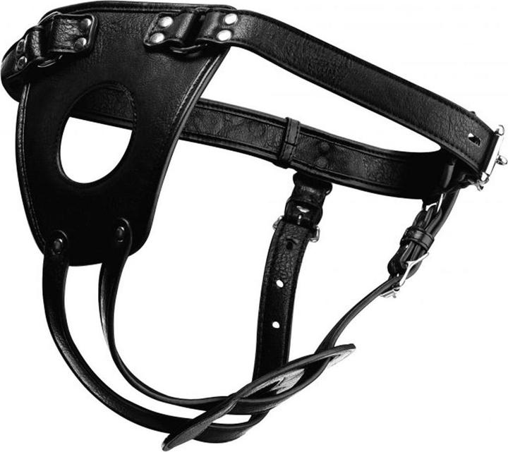 Master Series Ass Holster Butt Plug Harnas