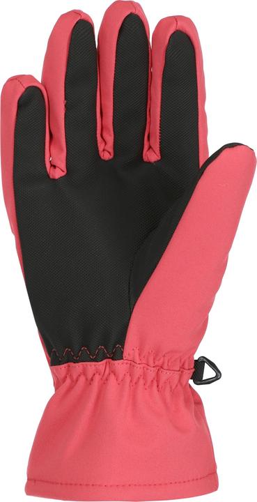 Produktbild Vikingsports Aliana Ski Lady Handschuhe (6)