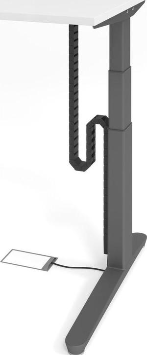 Image du produit Apollo Chaîne de câbles (2 cm)