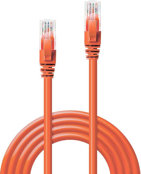 Produktbild Lindy Netzwerkkabel (U/UTP, CAT6, 0.30 m)