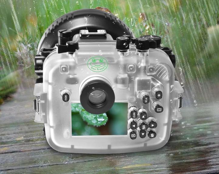Immagine prodotto Seafrogs SC-33 (Custodia subacquea, EOS RP)