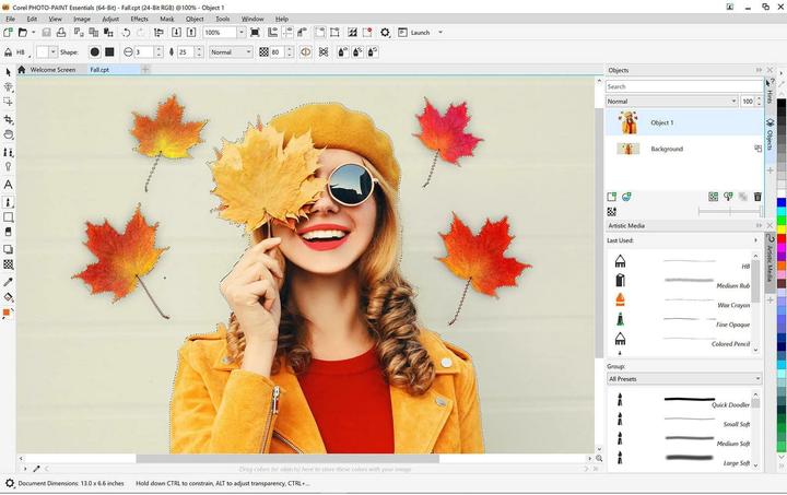 Actual product image Corel CorelDRAW Essentials 2024 (1 User, 1 Devices/Users, unlimited)