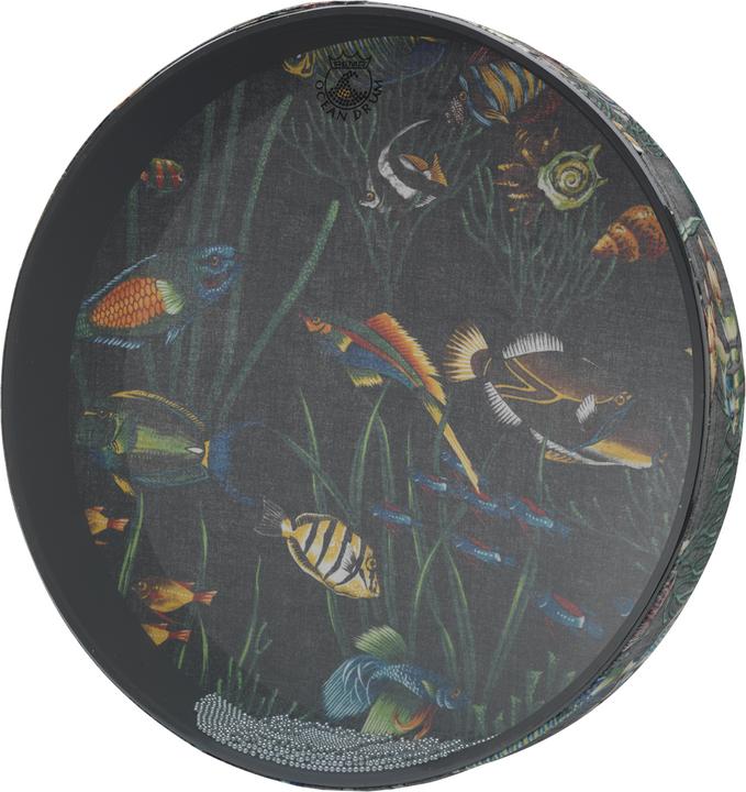 Actual product image Remo Ocean (Drum)
