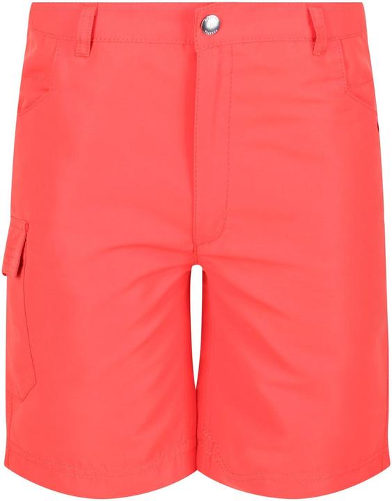 Regatta Sorcer II Shorts