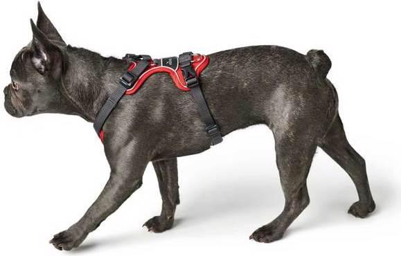 Produktbild Hunter Divo (L, Hund, Allgemein)
