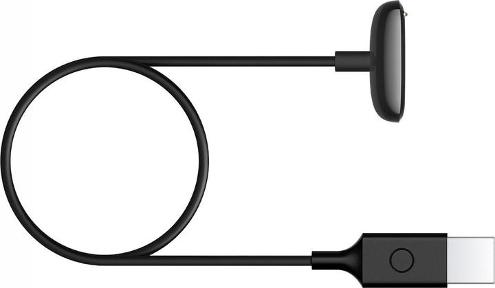Image du produit Fitbit Charge 5 & Luxe Charging Cable