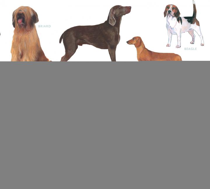 Produktbild Gesellschaftsspiel Dog Bingo (Deutsch)