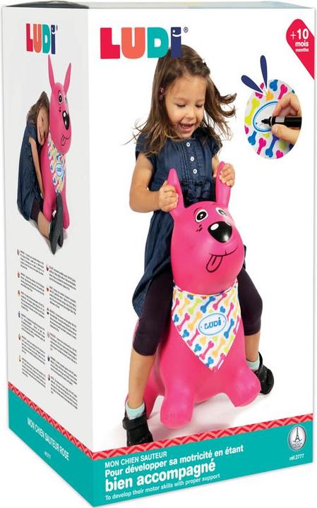 Actual product image LUDI Bouncing dog