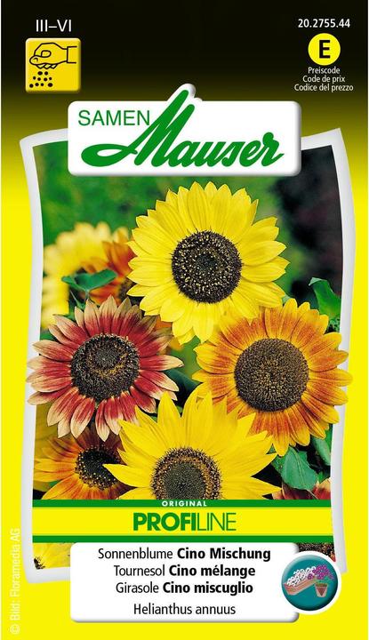 Miscela di girasole Cino (Semi di piante)