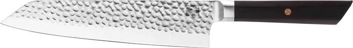Actual product image Kotai Kiritsuke chef knife (20 cm)