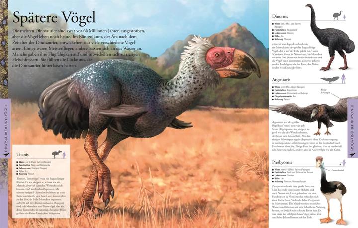 Actual product image Dinosaurier und andere Tiere der Urzeit für clevere Kids (German, DK Verlag - Kids, 2019)