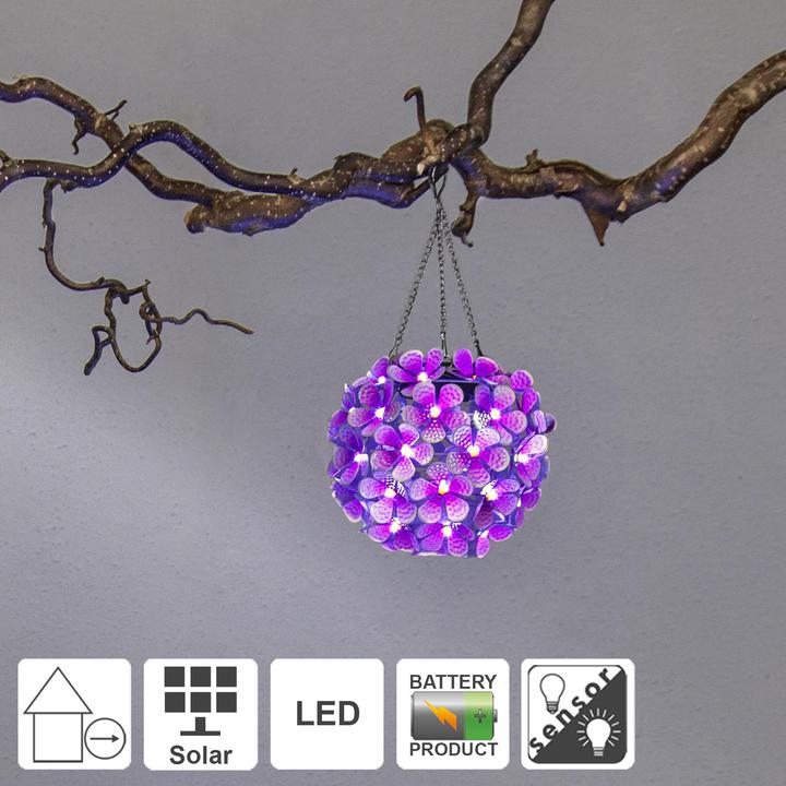 Image du produit Star Trading Hortensia (IP44)