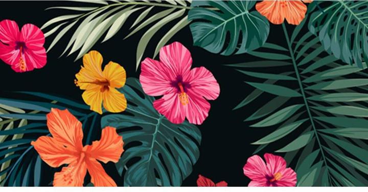 Image du produit Outdoorchef Arosa Revêtement textile Aloha Hawaii