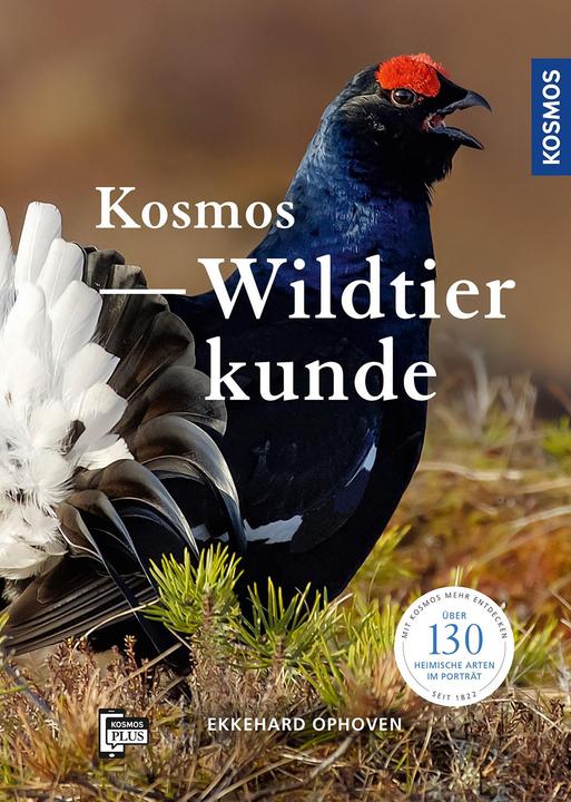 Immagine prodotto Kosmos Wildtierkunde (Tedesco, Ekkehard Ophoven, 2021)