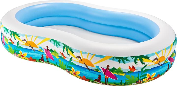 Actual product image Intex Paradise