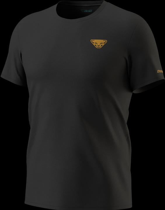 Actual product image Dynafit 24/7 Graphic T-Shirt (XXL)