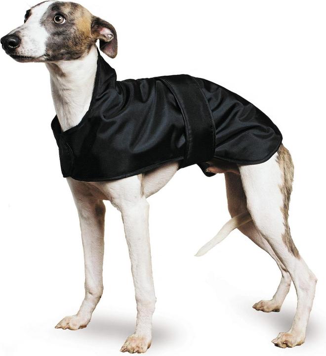 Image du produit Ancol Pet Products Muddy Paws Manteau pour whippet (Combinaison pour chien)