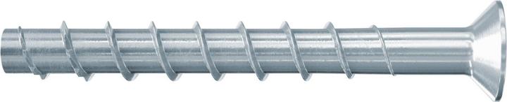 Fischer 558229 (50 pz.)