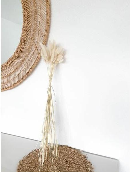 Actual product image Soli Collection Dried flowers Lagurus 50-60 cm, White (Dried flowers)