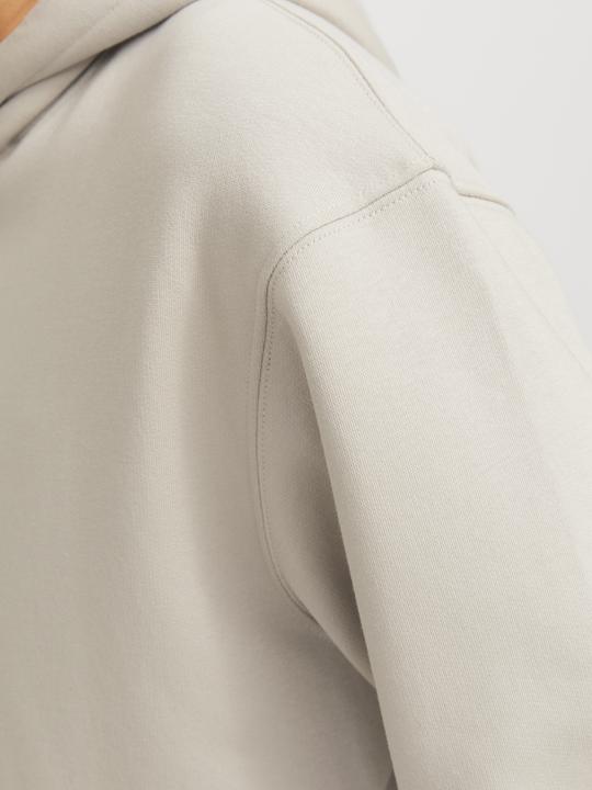 Immagine prodotto Jack & Jones Jjestar Basic Sweat Hood Noos (L)