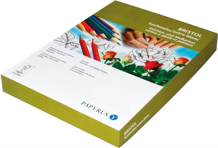 Actual product image Scaldia Bristol A3 craft board, 180 g/m², 250 pieces (180 g/m², 250 x)