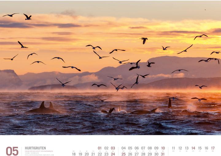 Produktbild Hurtigruten - Unterwegs zwischen Bergen und Kirkenes Kalender 2026 (54 x 42 cm, Harter Einband, Deutsch)