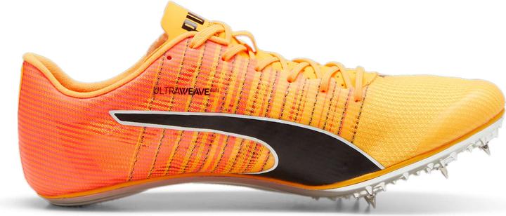 Produktbild Puma evoSPEED BRUSH 6 (42)