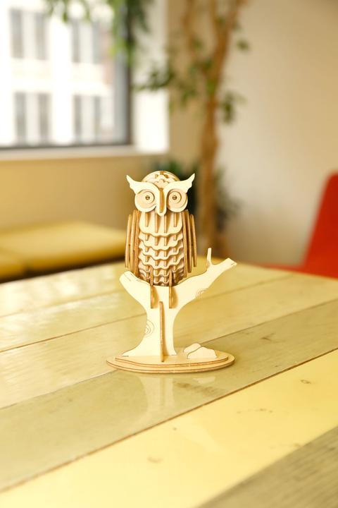 Actual product image Kikkerland Owl (3 pieces)
