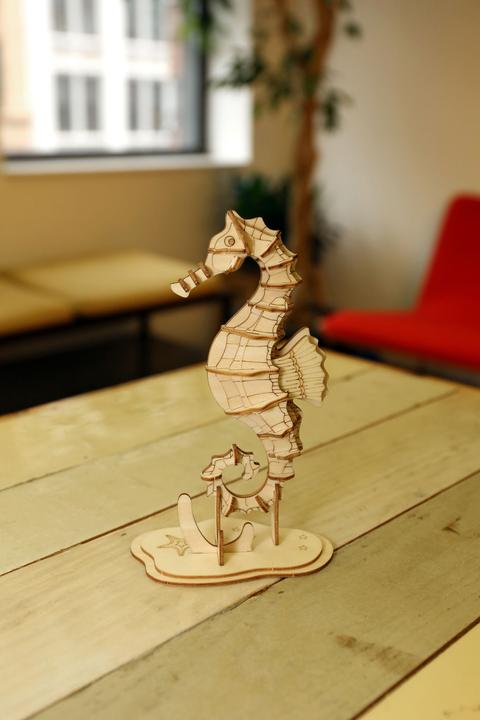 Image du produit Kikkerland Hippocampe