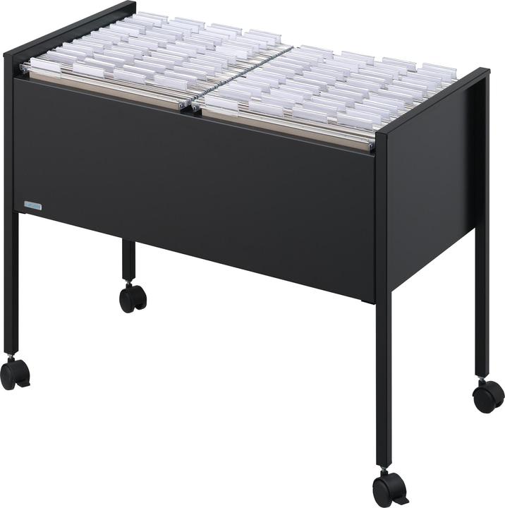 Produktbild Durable Hängemappenwagen Economy 100 DUO A4 (21 x 29.5 cm)