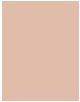 Produktbild Sisley Phyto Teint Nude No 1C (1C Petal)